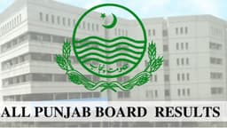 Matric 2026: Punjab boards announce top position holders Matric 2026: Punjab boards announce top position holders