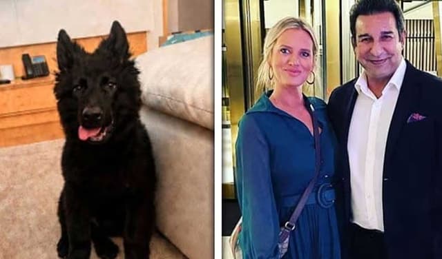 Wasim Akram’s missing pet dog found Wasim Akram’s missing pet dog found