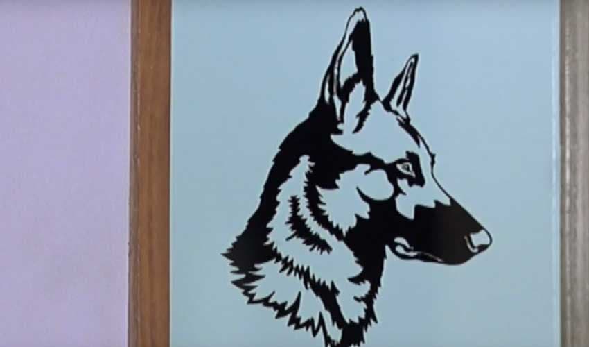 Alarming rise in dog-bite as 18 cases reported in single day (Courtesy: File) Alarming rise in dog-bite as 18 cases reported in single day (Courtesy: File)