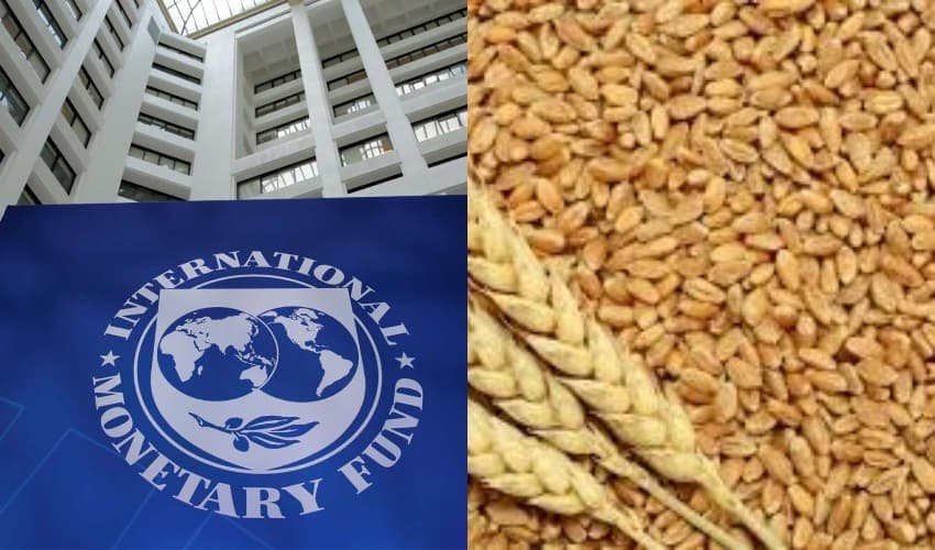 Govt addresses IMF’s concerns over wheat price policy (Courtesy: File) Govt addresses IMF’s concerns over wheat price policy (Courtesy: File)