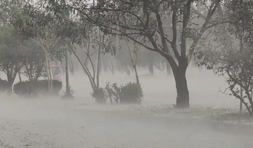 Storms claim 8 lives, injure 45 across Punjab: PDMA