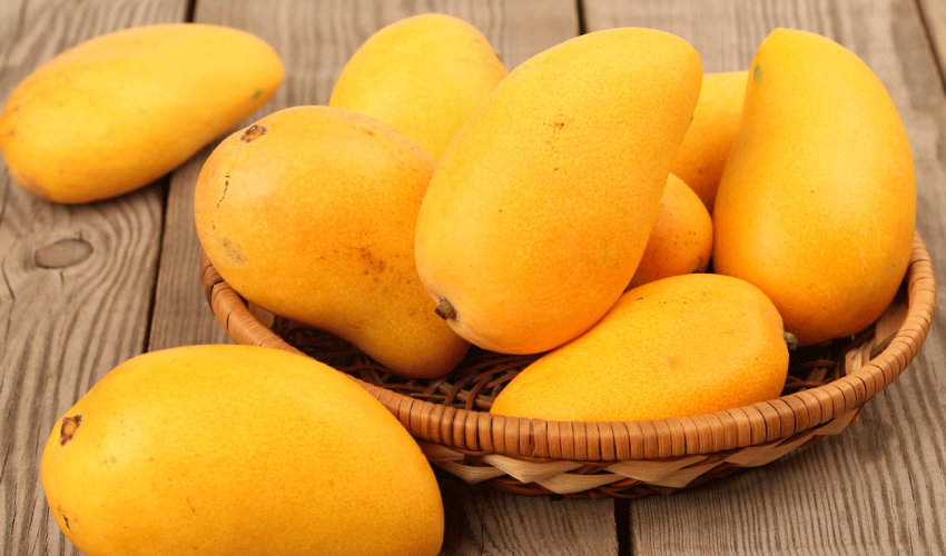 Pakistan to export 125,000 tonnes of mangoes