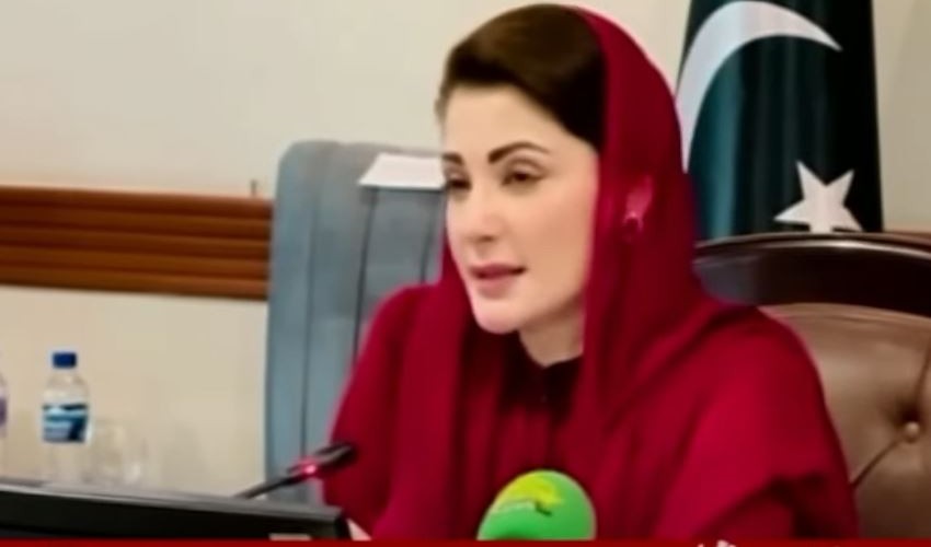 World Mental Health Day: Maryam Nawaz stresses peace of mind for balanced life