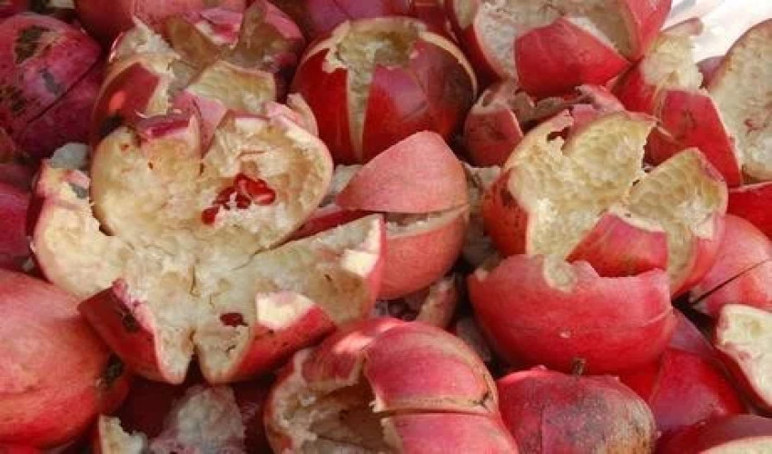 Experts reveal multiple health benefits of consuming pomegranate peel