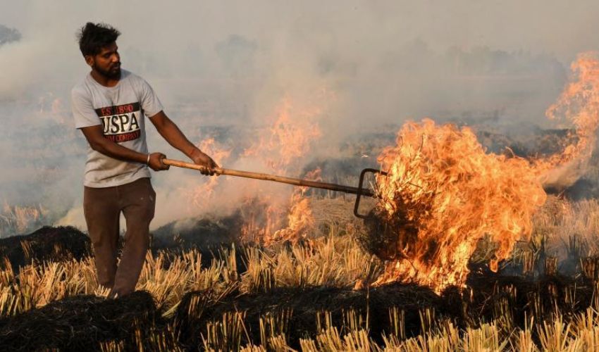 Drone footage exposes massive stubble burning in Indian Punjab