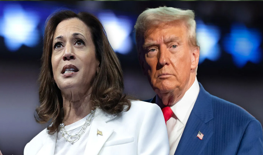 Kamala Harris vs Trump The poll numbers you won't believe!